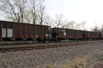 NS 10190